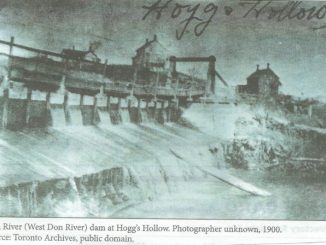 Hoggs Hollow 1960